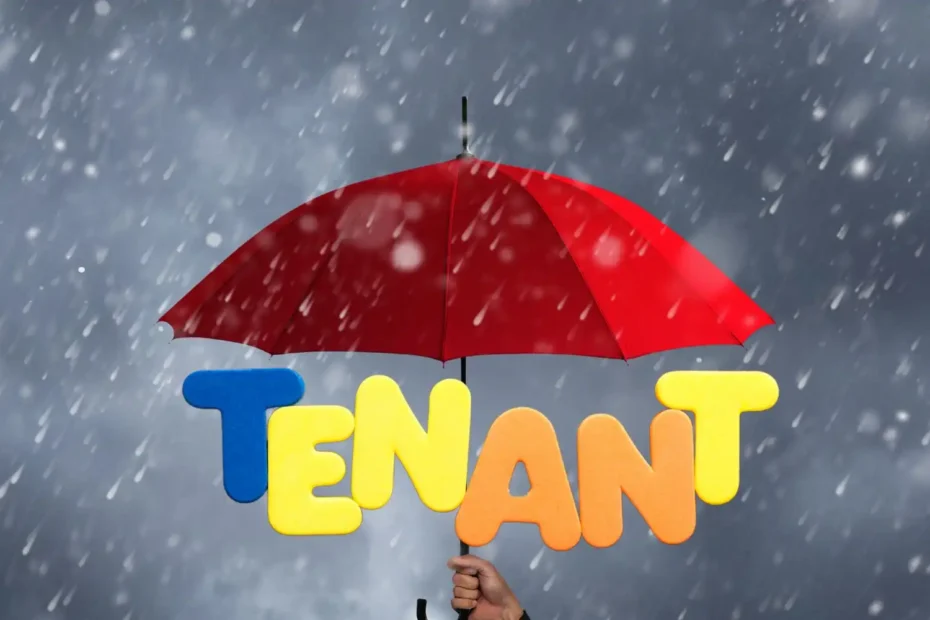 Tenant Protection - The Renters Reform Bill Explained