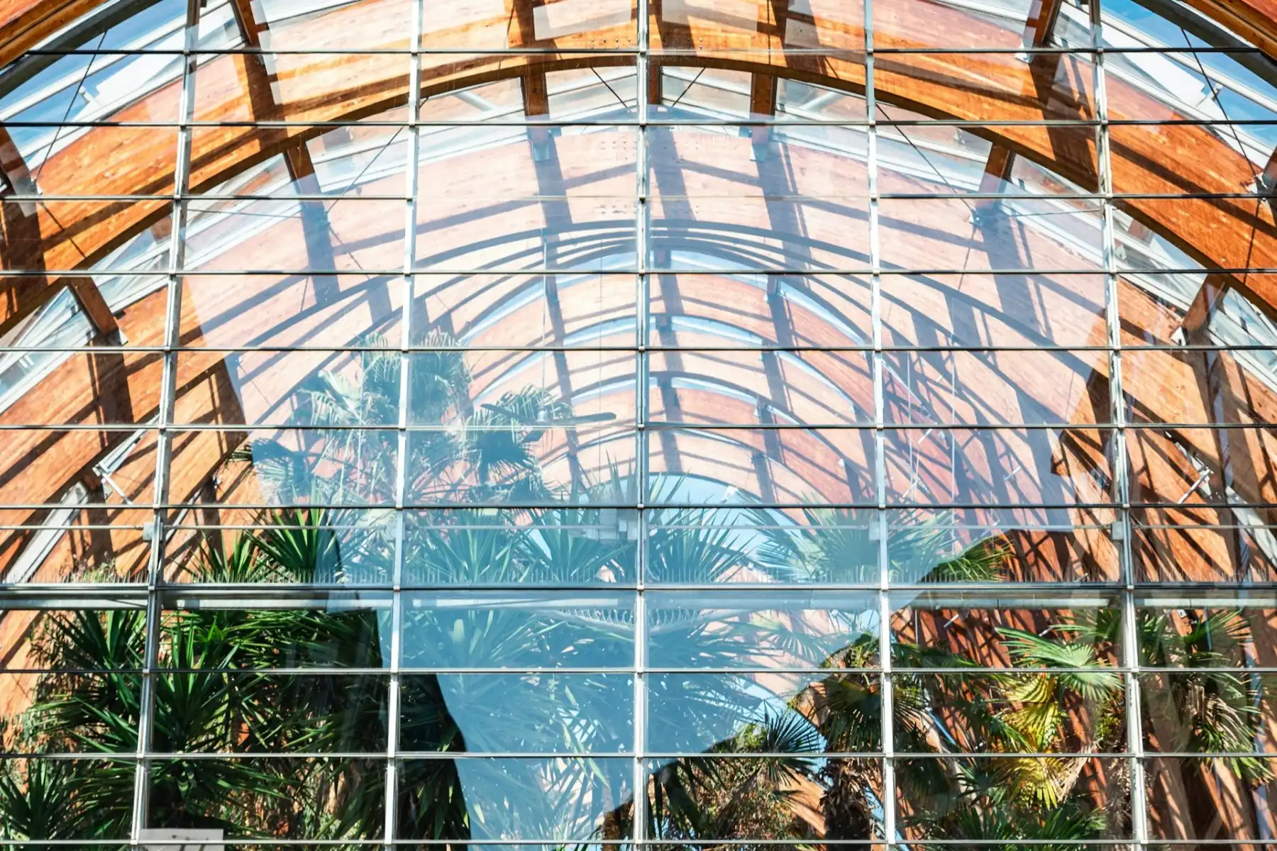 Sheffield Winter Garden, One Of The UK's Largest Botantical Greenhouses in Sheffield City Centre